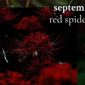 Meet your Posher, Blair